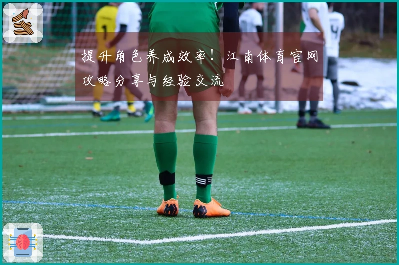 提升角色养成效率！江南体育官网攻略分享与经验交流