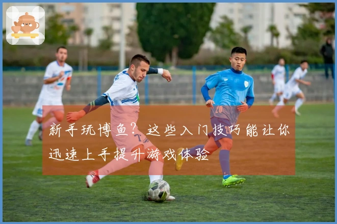 新手玩博鱼？这些入门技巧能让你迅速上手提升游戏体验