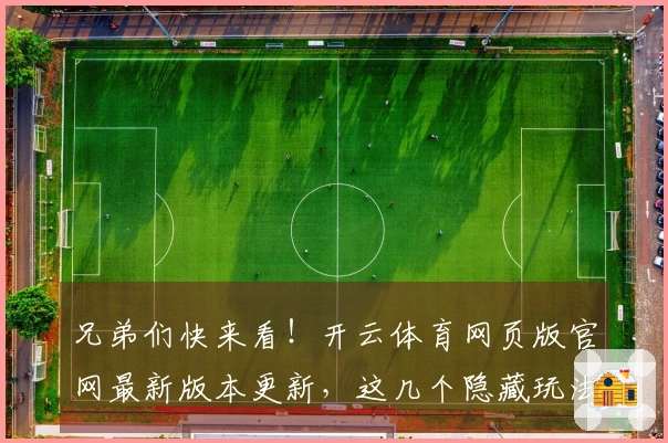 兄弟们快来看!开云体育网页版官网最新版本更新,这几个隐藏玩法升级后太香了!